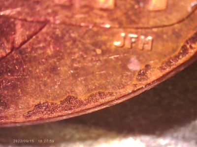 2021-P-Penny-Damage-Or-Cud-Type-Issue?